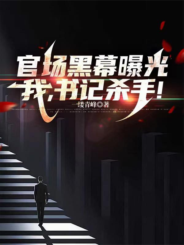 官场黑幕曝光，我，书记杀手