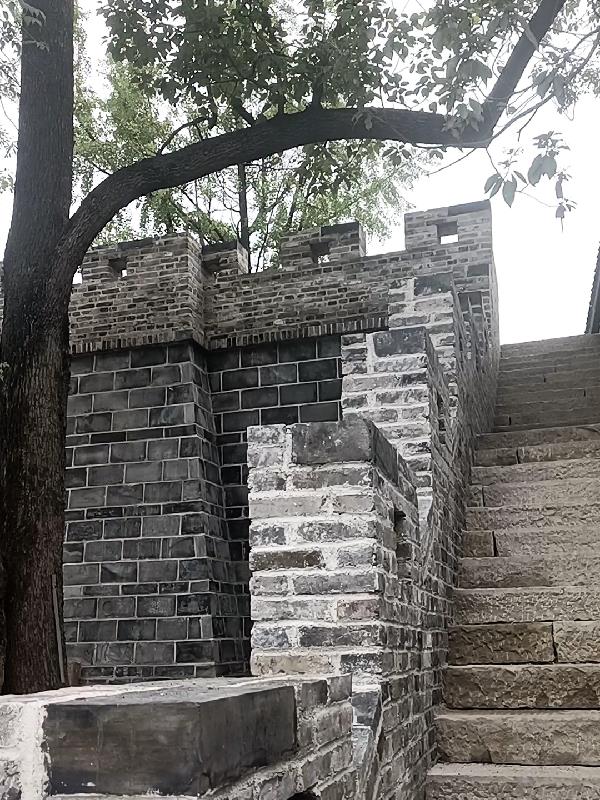 凡道传说