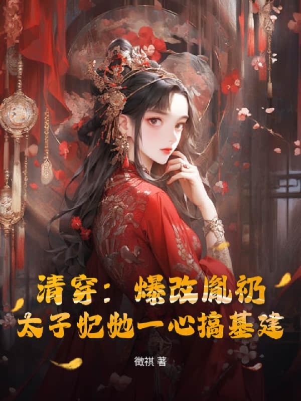 清穿爆改胤礽，太子妃一心搞基建