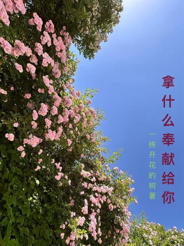 摩羯，来了